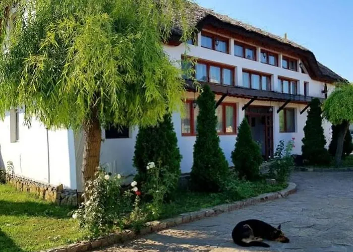 Casa Cu FloriPensiune